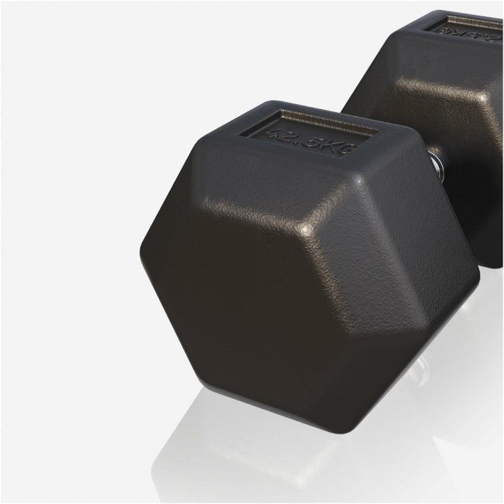 Hexagon Kurzhantel Gummi 2 - 50 kg - MAXXUS